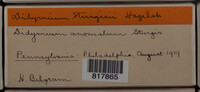 Image Associated With the Occurence